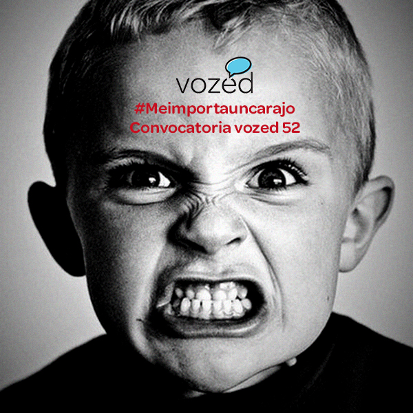 Convocatoria vozed 52: «Me importa un carajo»