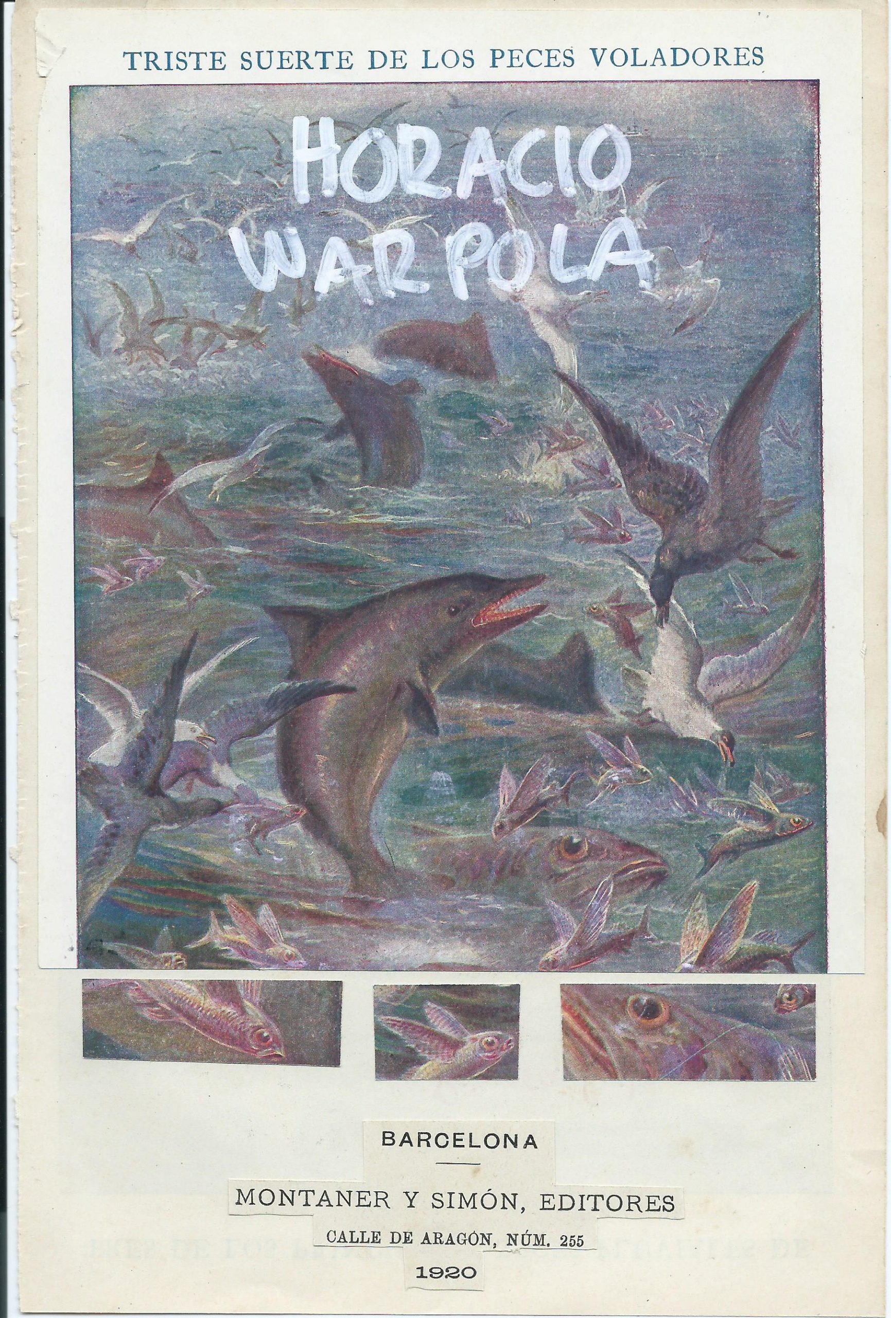 Triste suerte de los peces voladores