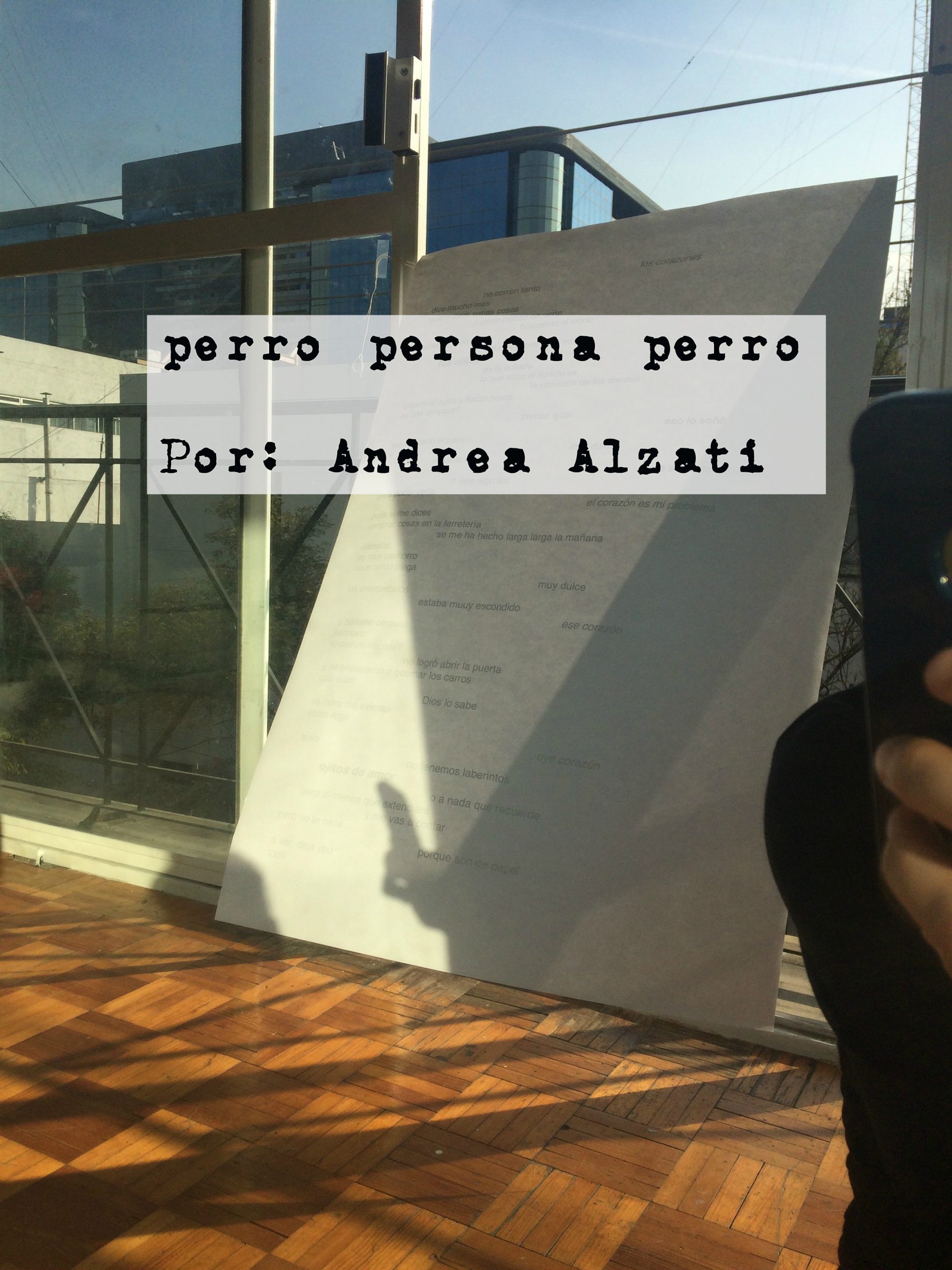 Perro persona perro