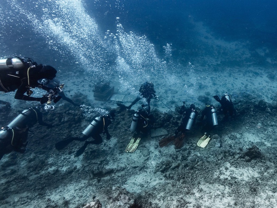 80P1VM/71: Reef Shark en Beqa Lagoon